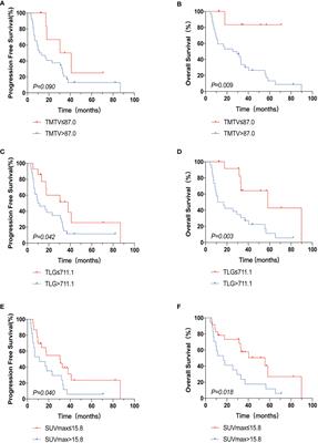 A preliminary investigation of the relationship between 18F-FDG PET/CT metabolic parameters and prognosis in angioimmunoblastic T-cell lymphoma